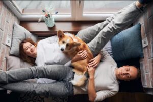 Errores que afectan la salud de tu mascota espacio descanso