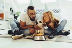 Errores que afectan la salud de tu mascota humanizacion