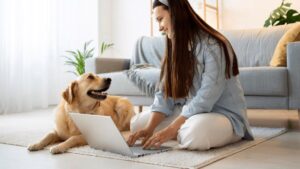 elegir la mascota perfecta presupuesto