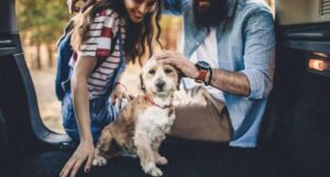 como llevar a tu perro en el auto no comer antes