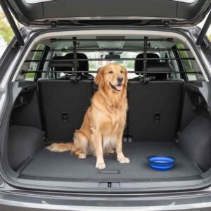 como llevar a tu perro en el auto rejilla divisoria
