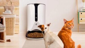 gadgets para mascotas alimentador automatico