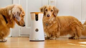 gadgets para mascotas camara vigilancia