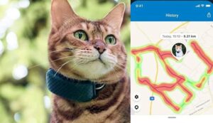 gadgets para mascotas rastreador gps