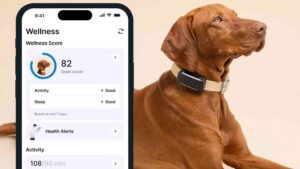 gadgets para mascotas monitoreo signos